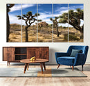 Joshua Tree Desert Wall Art Canvas Print – Framed