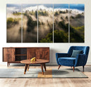 Tranquil Forest Scene Wall Art Canvas Print – Framed Moody