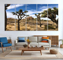 Joshua Tree Desert Wall Art Canvas Print – Framed