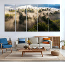 Tranquil Forest Scene Wall Art Canvas Print – Framed Moody