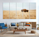 Buffalo Wall Art Canvas Print – Framed Western Wildlife by MyGreatCanvas | Canvas Wall Art Prints | Photo Prints & Wall Decor