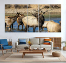 Wild Elk Wall Art Canvas Print – Framed Neutral Wildlife