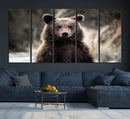 Brown Bear Wall Art Canvas Print – Framed Majestic Woodland