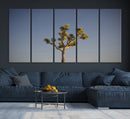 Joshua Tree Wall Art Canvas Print – Framed Southwestern