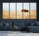 Buffalo Wall Art Canvas Print – Framed Western Wildlife by MyGreatCanvas | Canvas Wall Art Prints | Photo Prints & Wall Decor