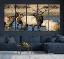 Wild Elk Wall Art Canvas Print – Framed Neutral Wildlife