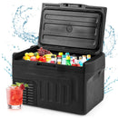 12V Car Refrigerator by LJGDeals