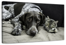 Dog And Cat Friends Wall Art
