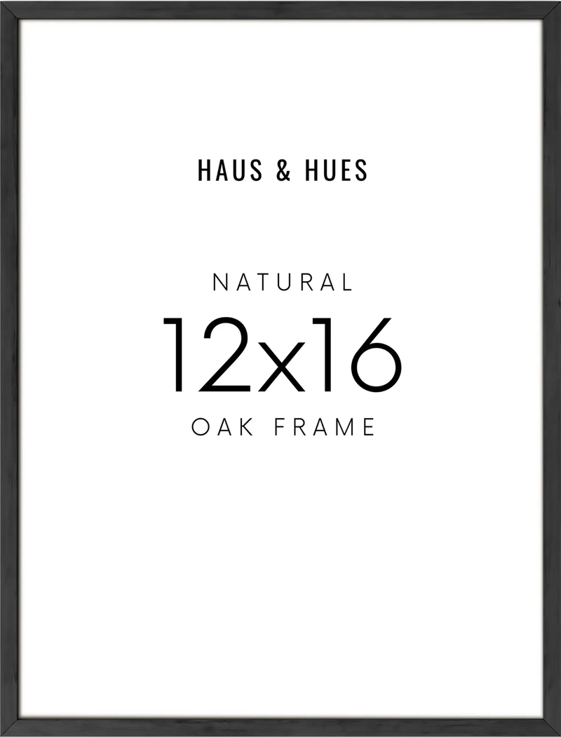 12x16, Black Aluminum Plexi Frame