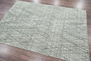 4x6 Tone on Tone Gray Hand Knotted 100% Wool Modern & Contemporary Oriental Area Rug