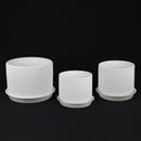 3-Piece White Stoneware Planter Pot Set with Ribbed Texture by Florinia