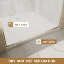 Aluminum Frame Double Double Soft Close Shower Door, Tempered Glass And Dual Stainless Steel Handles