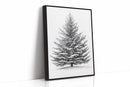 A Blanket Of White Snow-Covered Pine
