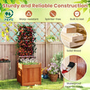 Outdoor Wooden Raised Garden Bed with Trellis by LJGDeals
