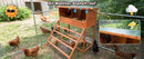 3-in-1 Nesting Boxes for Chickens with Perch and Swing by HouseOfZazla
