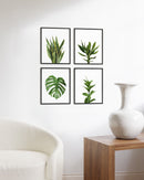 Plant Photo