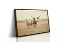 Prairie King: Longhorn on the Plains