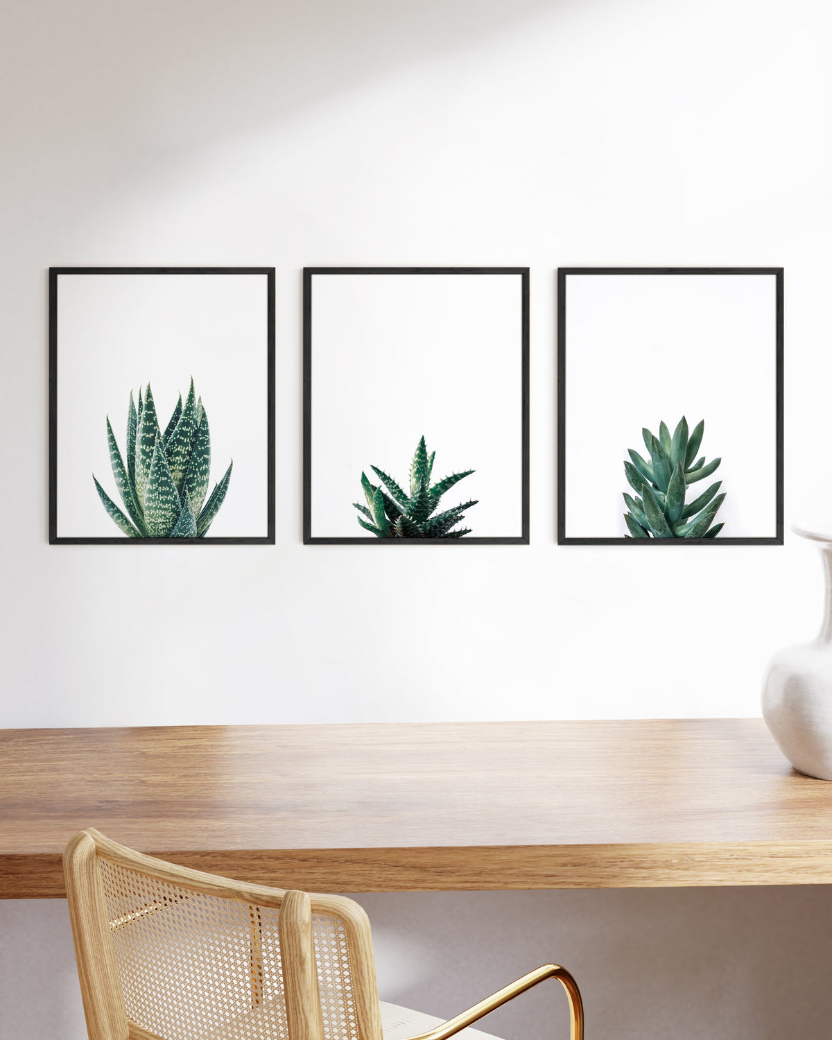 Succulent plants, photo 2 of 4