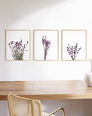 Lavender flowers
