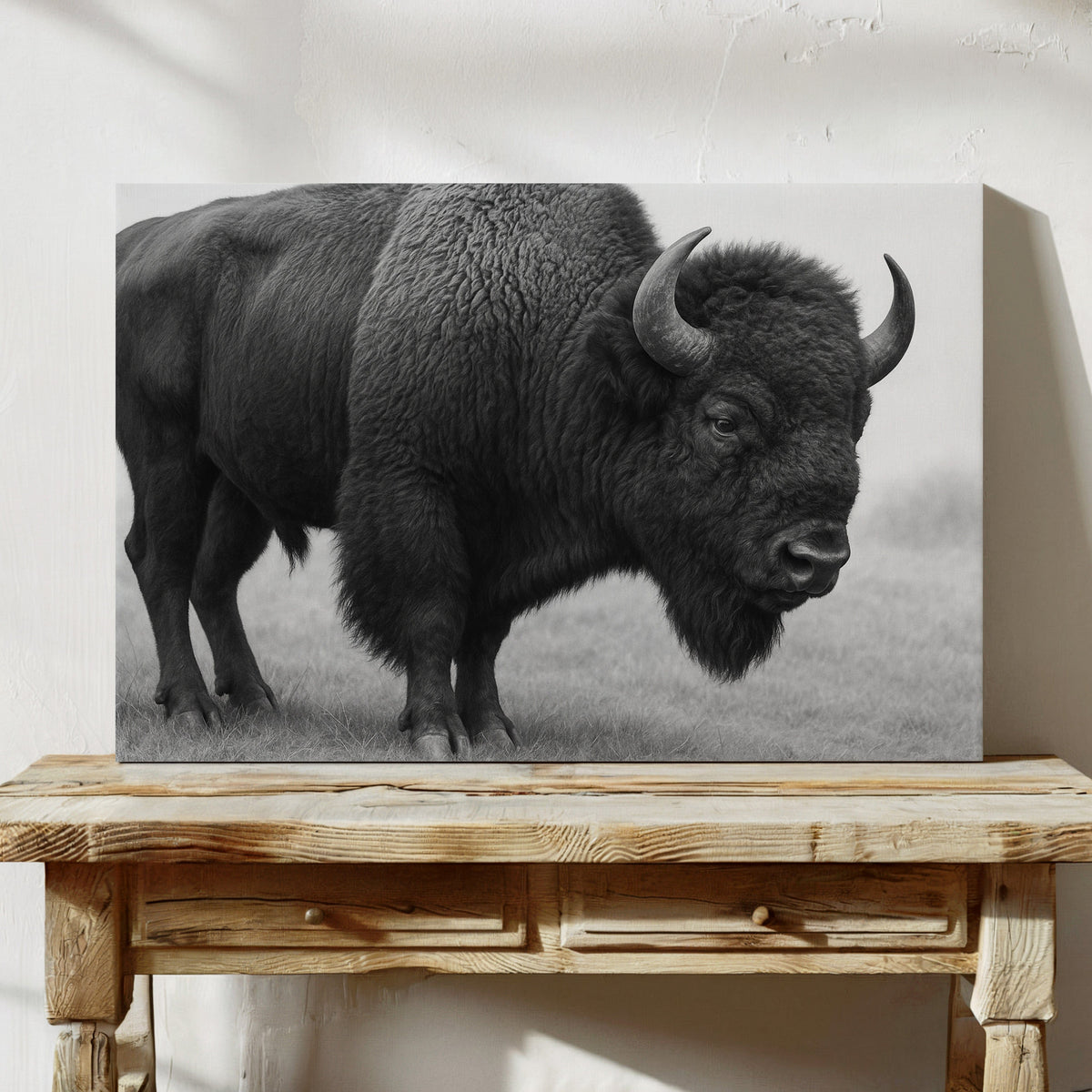 American Bison, photo 6 of 16
