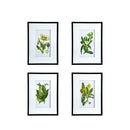 Botanical Flower Wall Art, Home Decor For Living Room Dining Room, Bedroom, Hallway (Set of 4) - White / Blue by Unique Piece Furniture