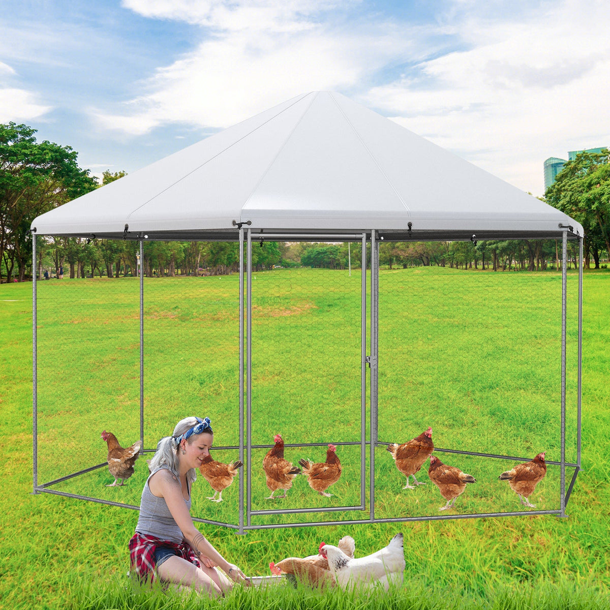 13FT Large Metal Hexagonal Chicken Coop with Wire Mesh and Lockable Door, photo 2 of 8