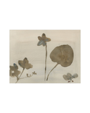 Botanical Thoughts III