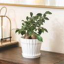 8 inch Decorative Ceramic Pot With Saucer