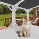 Cat Window Box