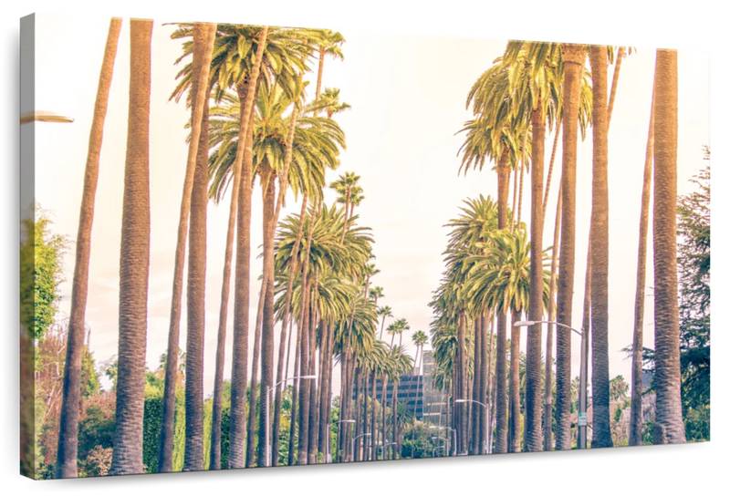 Palm Trees In Los Angeles Wall Art