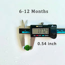 Marimo Moss Ball Aquarium 6-12 Month 0.8-1.5cm Marimo Moss Balls: 5/10/20/50PCS