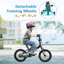 14 Inch Kids Bike Adjustable for 3-5 Years Old with Low-Step Frame by LJGDeals