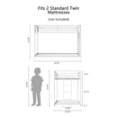 Adam - Metal Bunk Bed by HouseOfZazla