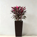 Indoor Outdoor Planter With Automatic Watering System by HouseOfZazla