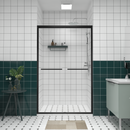 Aluminum Frame Double Sliding Shower Door - Bypass Bathroom Door