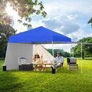 14 x 9.2 Feet Pop up Canopy Tent with 2 Convertible Sidewalls to Awning and Stakes by LJGDeals