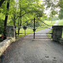 14x8 ft Steel Dual Swing Driveway Gate-European Style