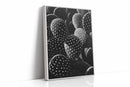 Desert Geometry in Monochrome