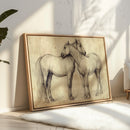 Equine Companionship Study