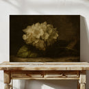 Faded Elegance Hydrangea