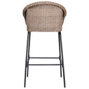 Ladd Outdoor Metal Wicker Barstool Set of 2