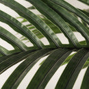 6FT Artificial Golden Cane Palm Tree with Black Pot