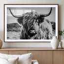 Black and White Scottish Cow Canvas Wall Art Highland Cattle