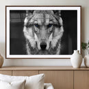 Black and White Wild Wolf Wall Art Canvas Print