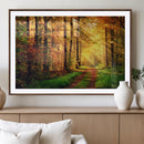 Sunlight Through Trees Wall Art Canvas Print - Autumn Forest