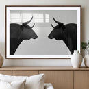 Spanish Bull Art - Framed Black and White Bull Canvas Print