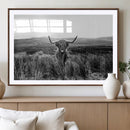 Black and White Highland Cow Canvas Wall Art, Longhorn by MyGreatCanvas | Canvas Wall Art Prints | Photo Prints & Wall Decor