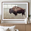 Bison in Field Wall Art Canvas Print For Farmhouse Barn