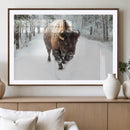 Bison Wall Art Canvas Print For Farmhouse, Animal Canvas