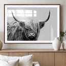 Black White Scottish Highland Cow Cattle Art Print Farmhouse